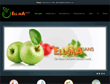 Tablet Screenshot of ellmareklam.com